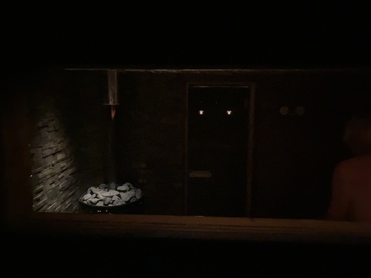 Horský wellness_pohled do sauny
