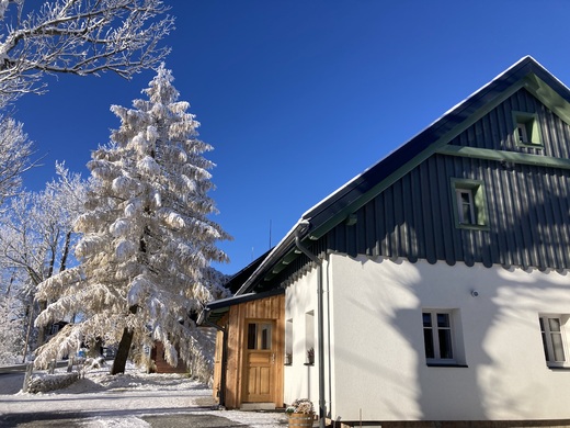 Horský apartmán Brusinka se zasněženým modřínem, začátek zimy