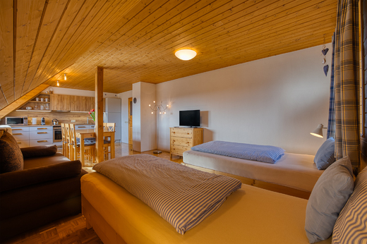 Apartmán Vyhlídka, obývací pokoj s postelemi