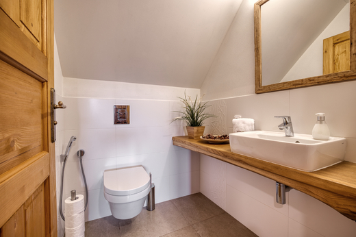 Apartmán Vyhlídka, toaleta