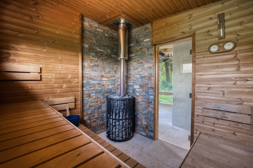 Sauna s kamny na dřevo.jpeg